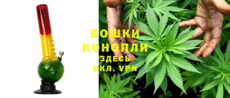 Каннабис THC 21%  хочу   Зеленоградск 